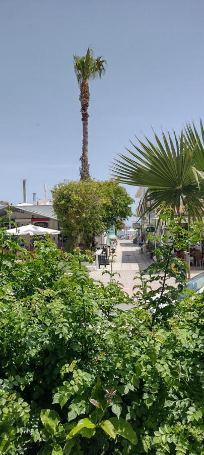 Sweetmar Guestrooms-Ground Floor Kos Town Exterior photo